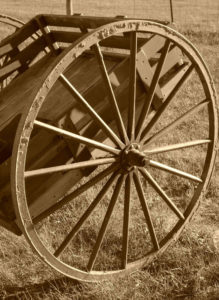 Photo courtesy of M. Foster